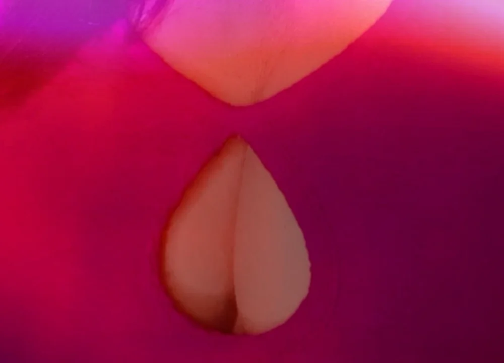 Amanda_Sex22's Offline Chat Room