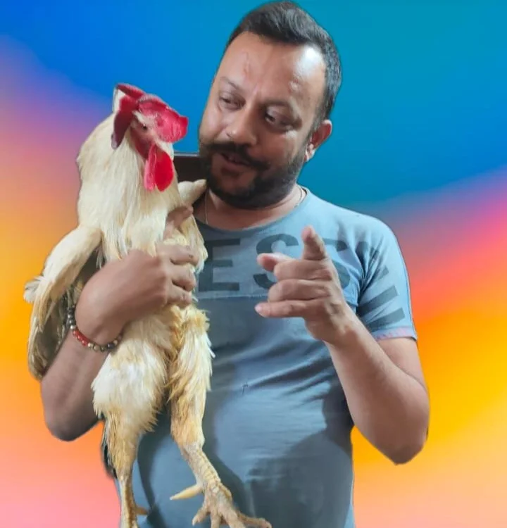 pihusexy1 Obrolan XXX Offline