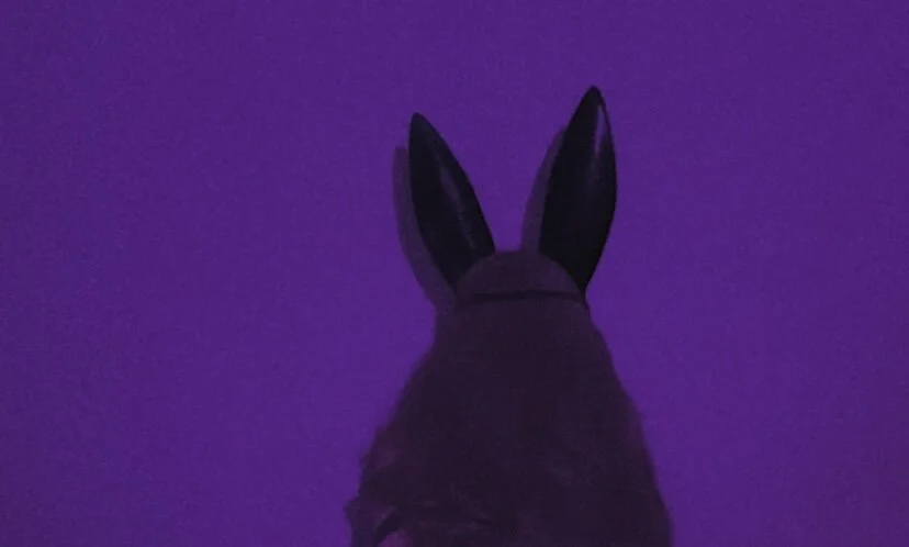 bunny_lady offline chatrum