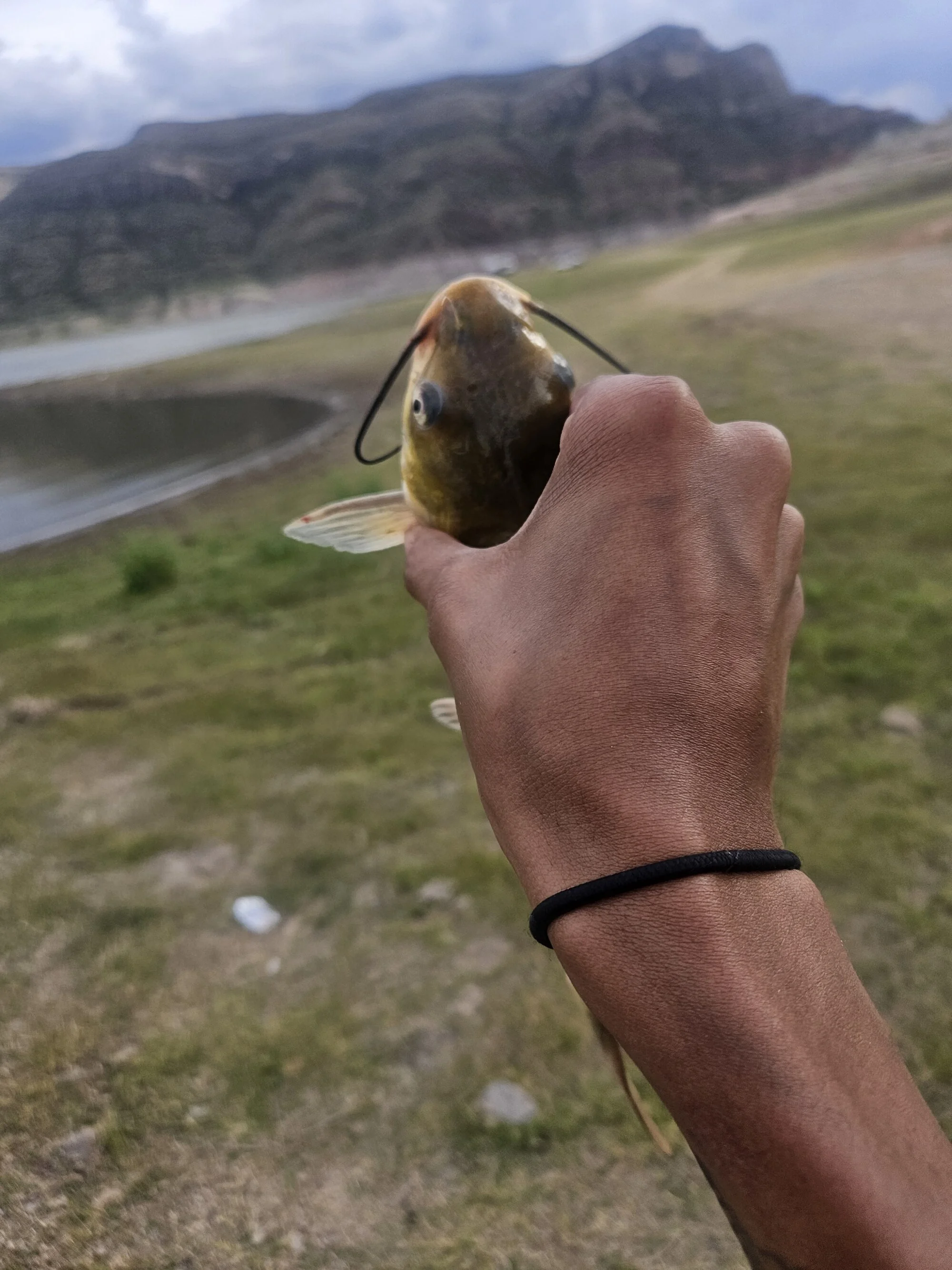 LongBackGuy
