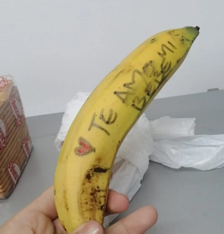 ห้องแชทออฟไลน์ของ EL-FLDSMDFR