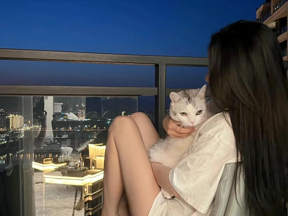 Vivi206 offline chatrum