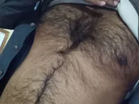 Модель hairymaster95