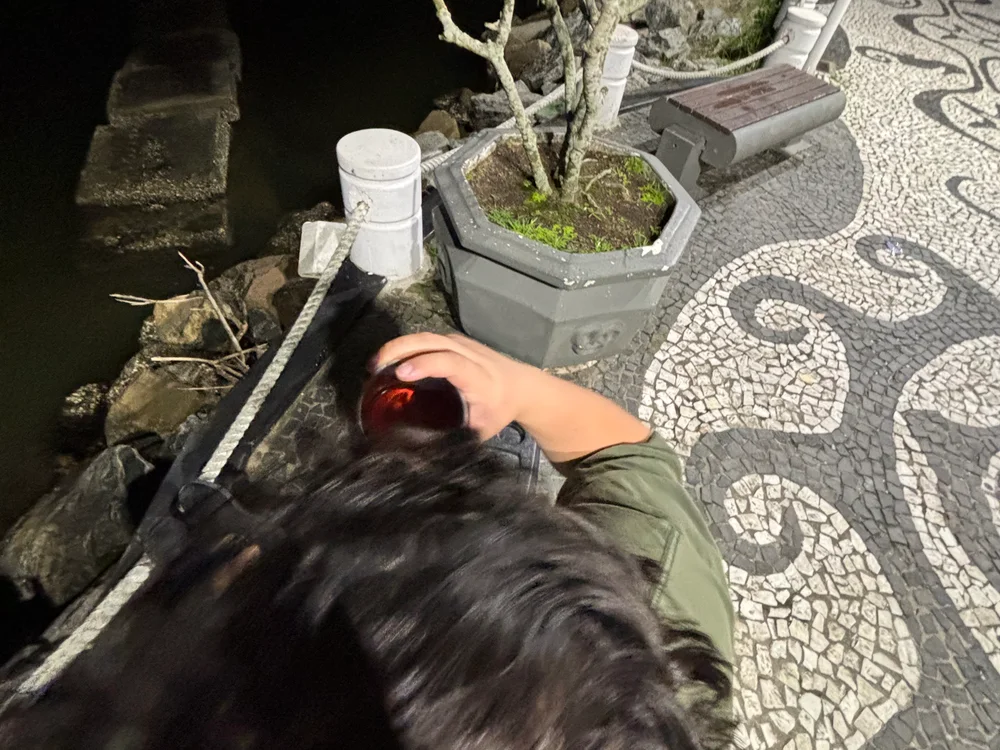 duardod Offline XXX-Chat