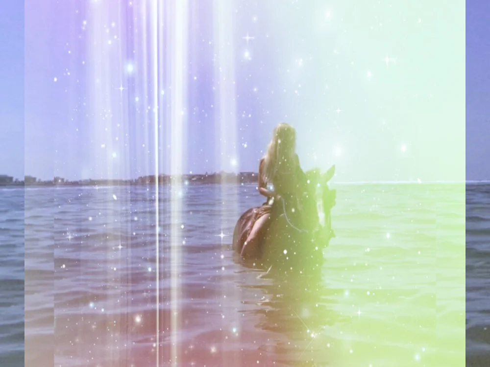 Chatroom XXX hors ligne de bunbunbunbunbunbun