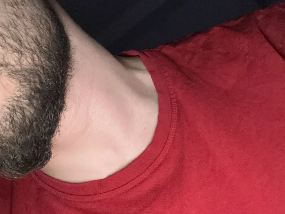 vibemydick 离线聊天室