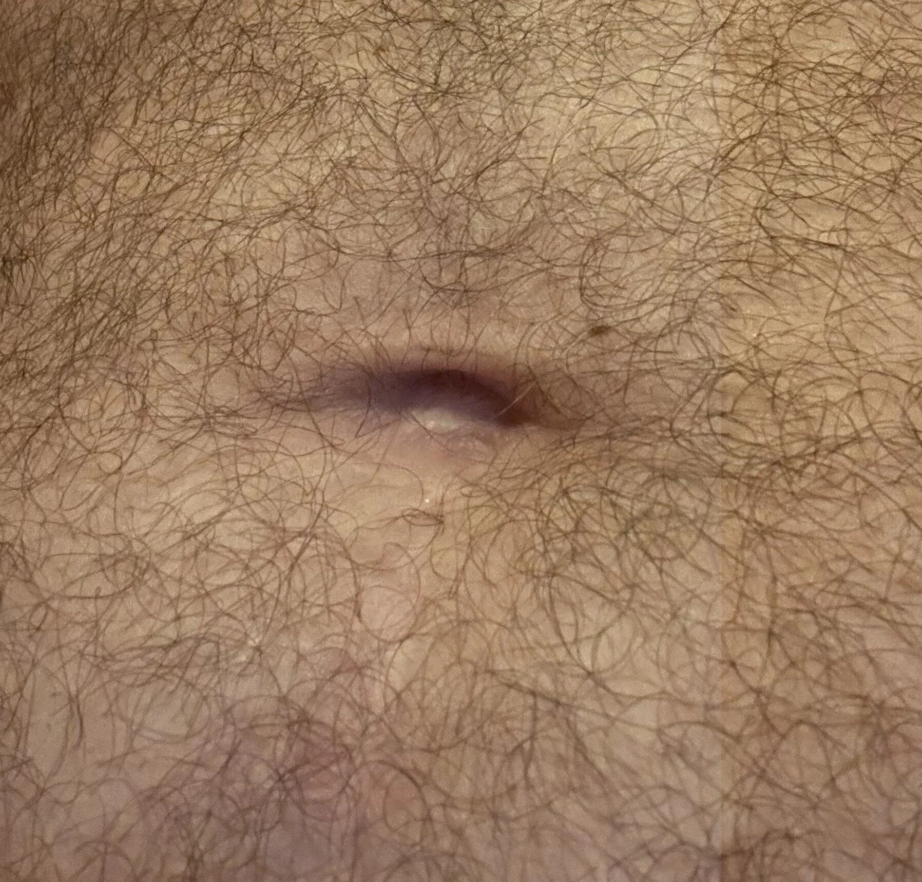 hotcock-germany live webcam