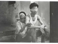 Model Fit_bull_india