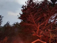 Zepe_12's webcam live show