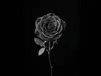 MildStem