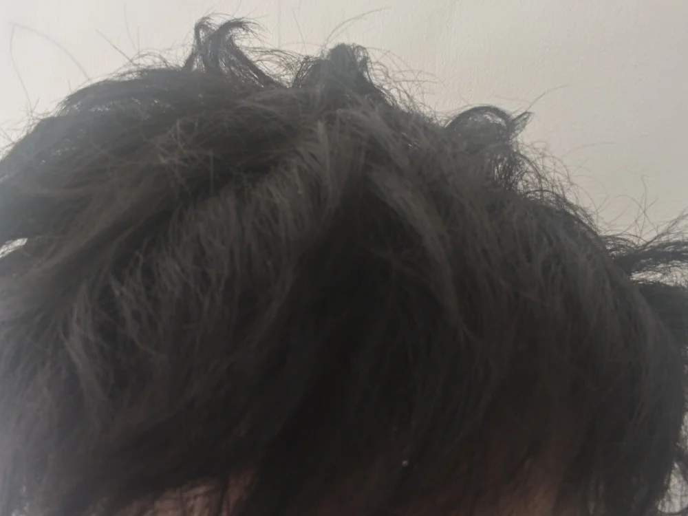 แชท XXX ออฟไลน์ของ kashimerin