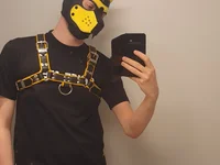 Pup_Noir offline cam