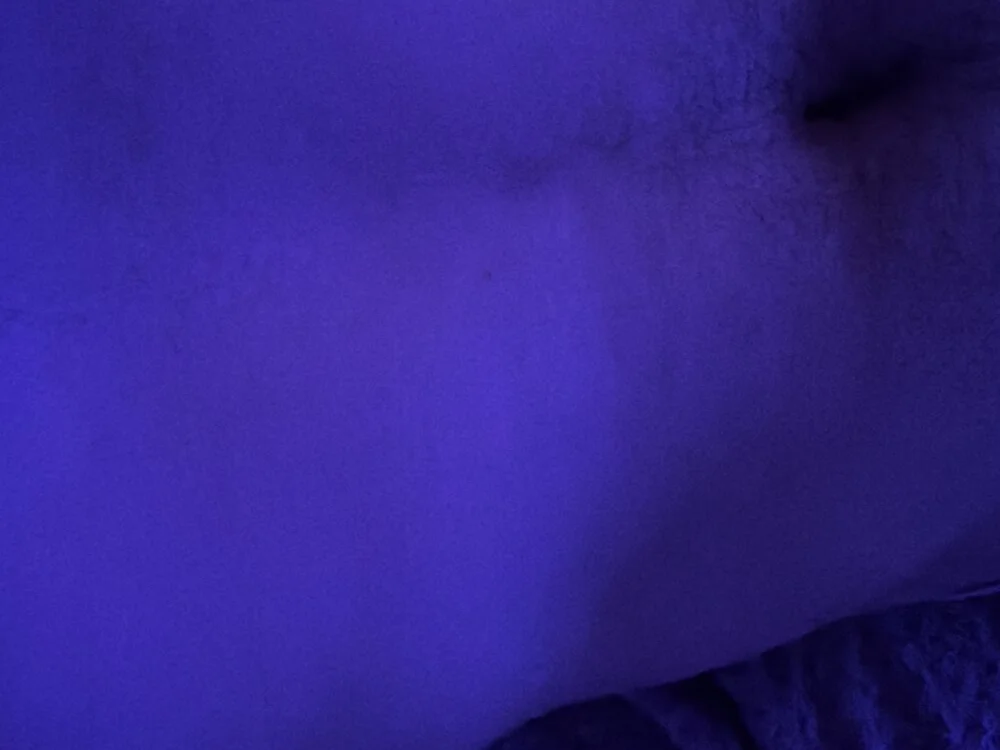 PoorScion Chat XXX offline