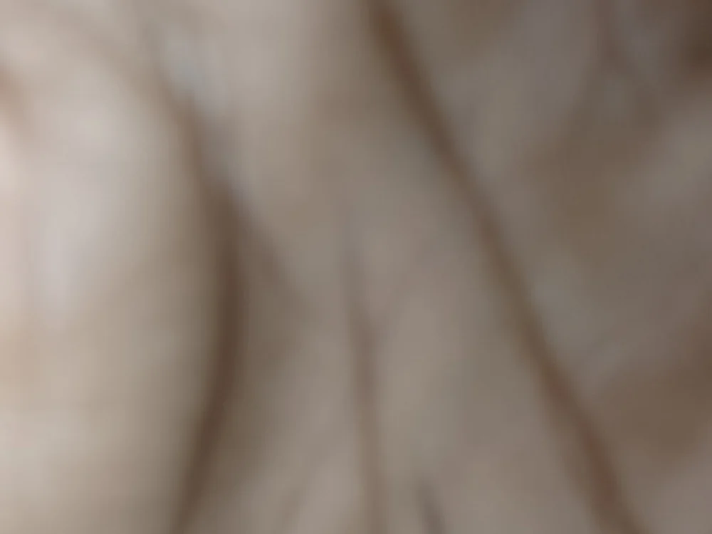 Luvuhon's most recent online preview