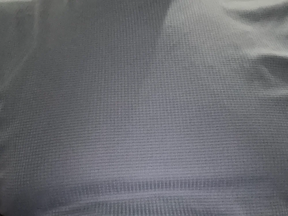 Nutt_Robber