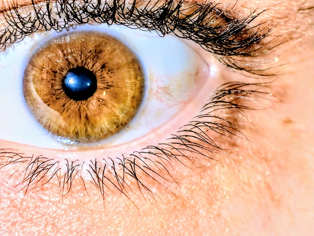 redyorten – Offline XXX chat