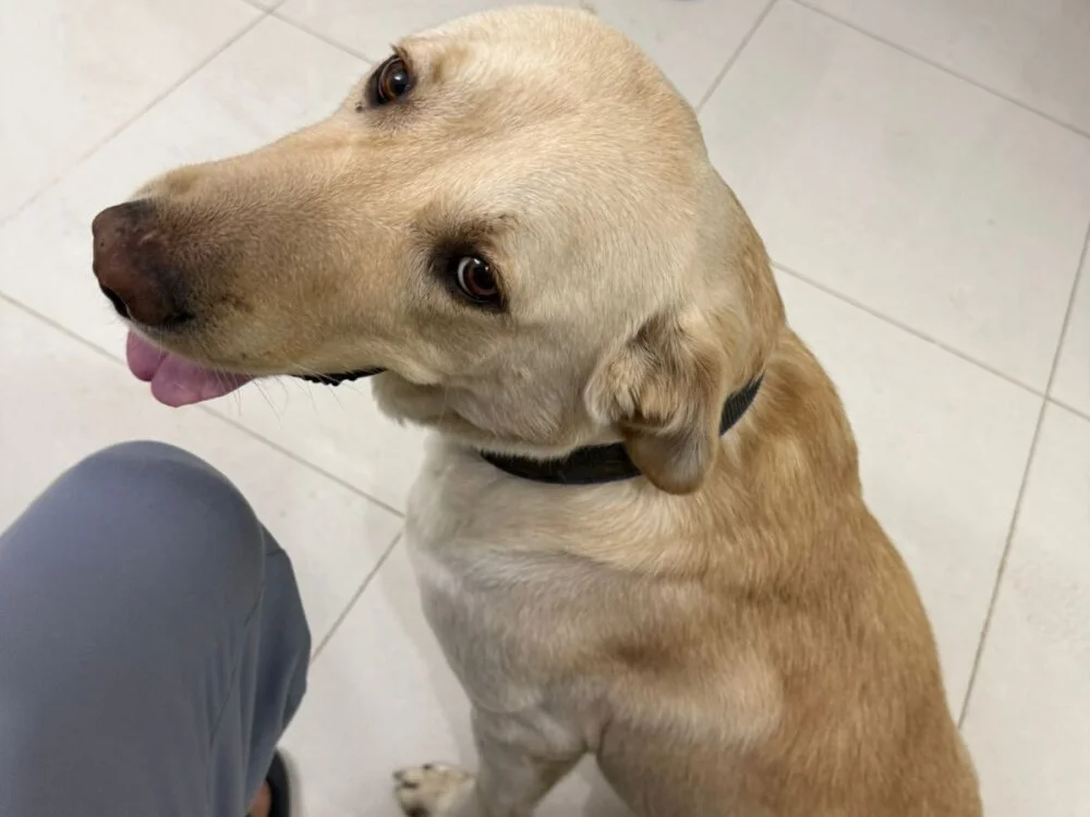 Arnold1995wet's Offline XXX Chat