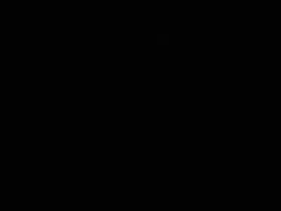 bielzinsantostx