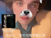 Finolelesina2