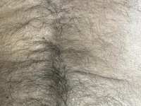 sunrise-40's webcam live show