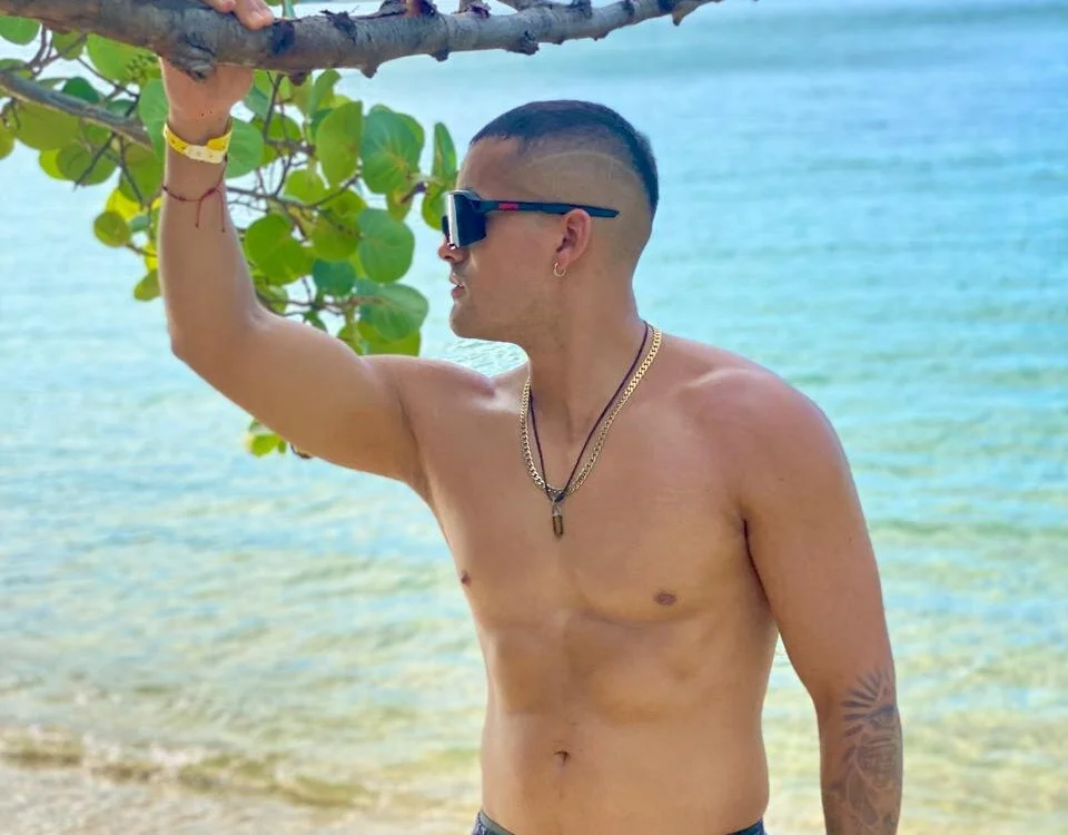 Steve_Dennis cam model