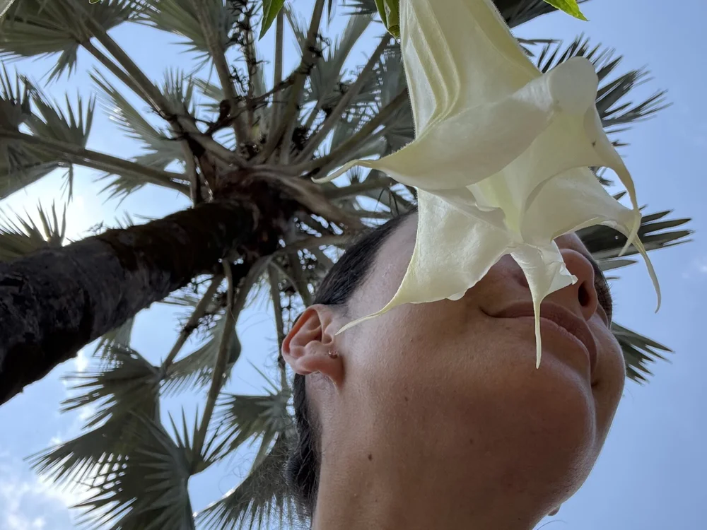 Elisabeth-rodriguez's Offline XXX Chat