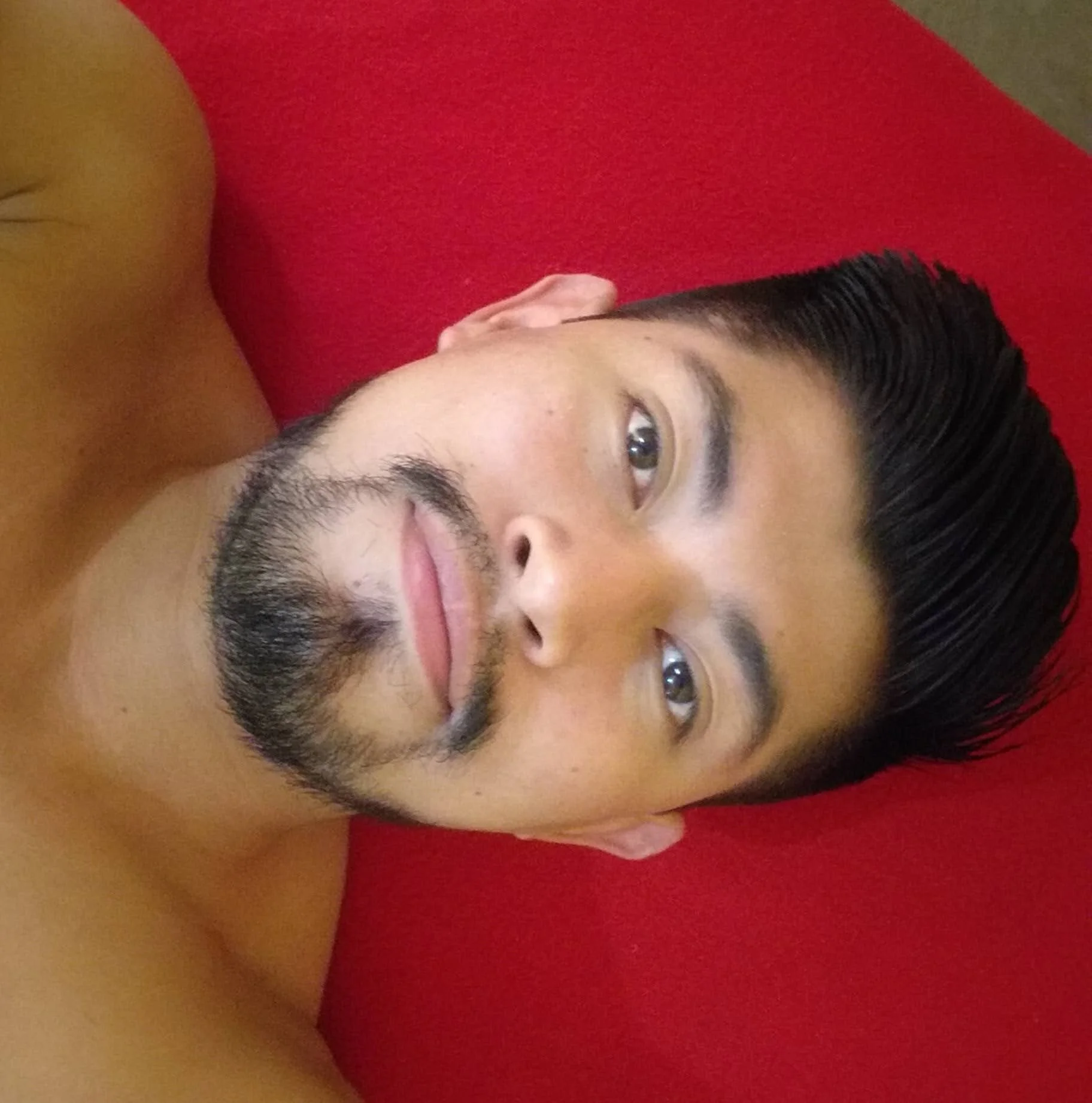 David205724