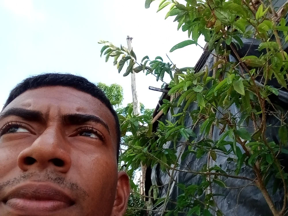 Wilsonvrg's most recent online preview