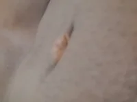 fcgfddfbv 📑 nude show