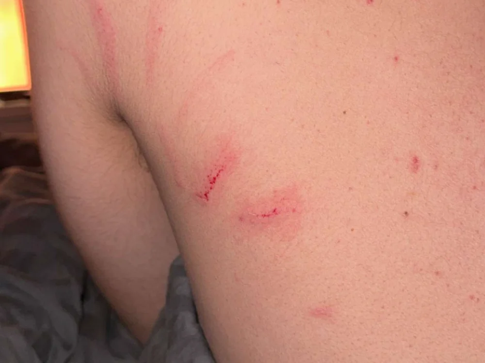 Offline XXX chat JakeVandall