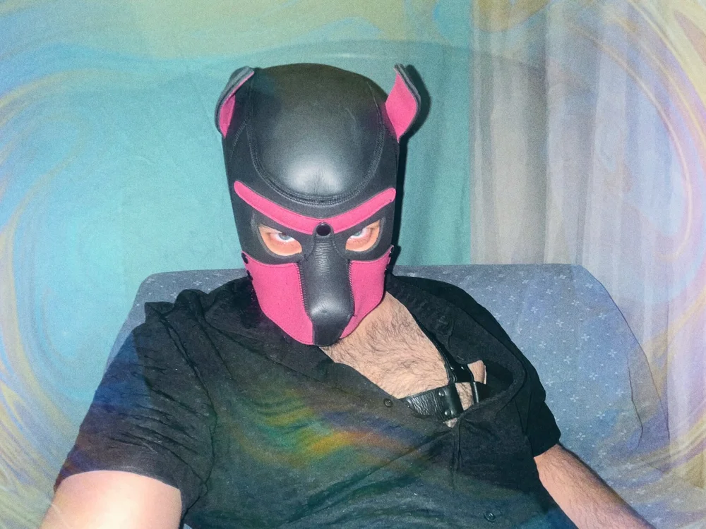 OliBearPup offline chatrum
