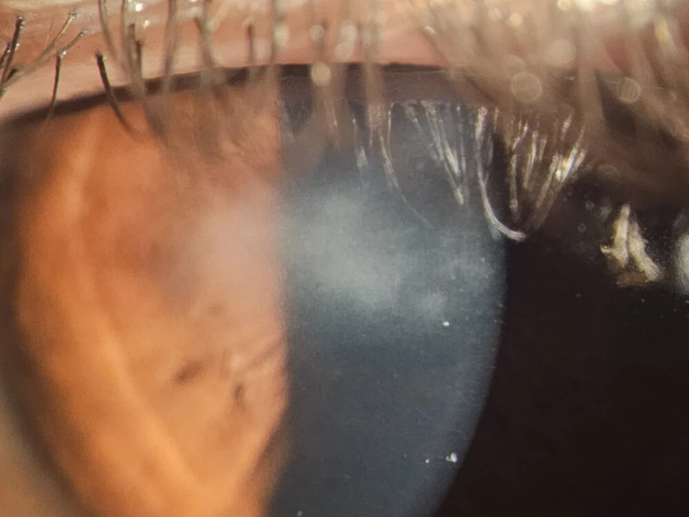 Offline XXX chat Sexloveyy