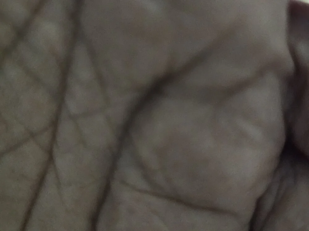 bigbrown4you: συνομιλία ΧΧΧ εκτός σύνδεσης