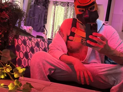 danix_wild_wolf profile