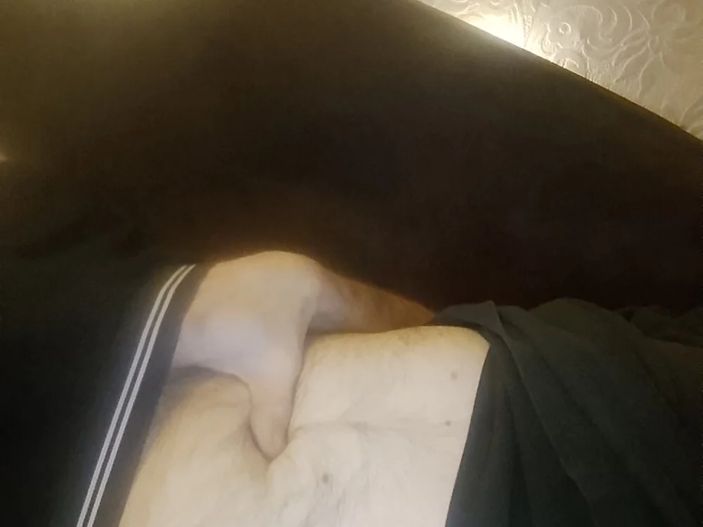 Офлайн-чат XXX Lukas2204