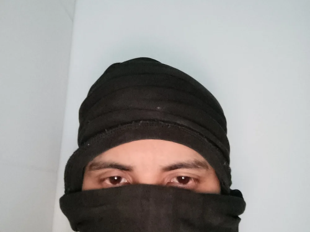 Haltmi