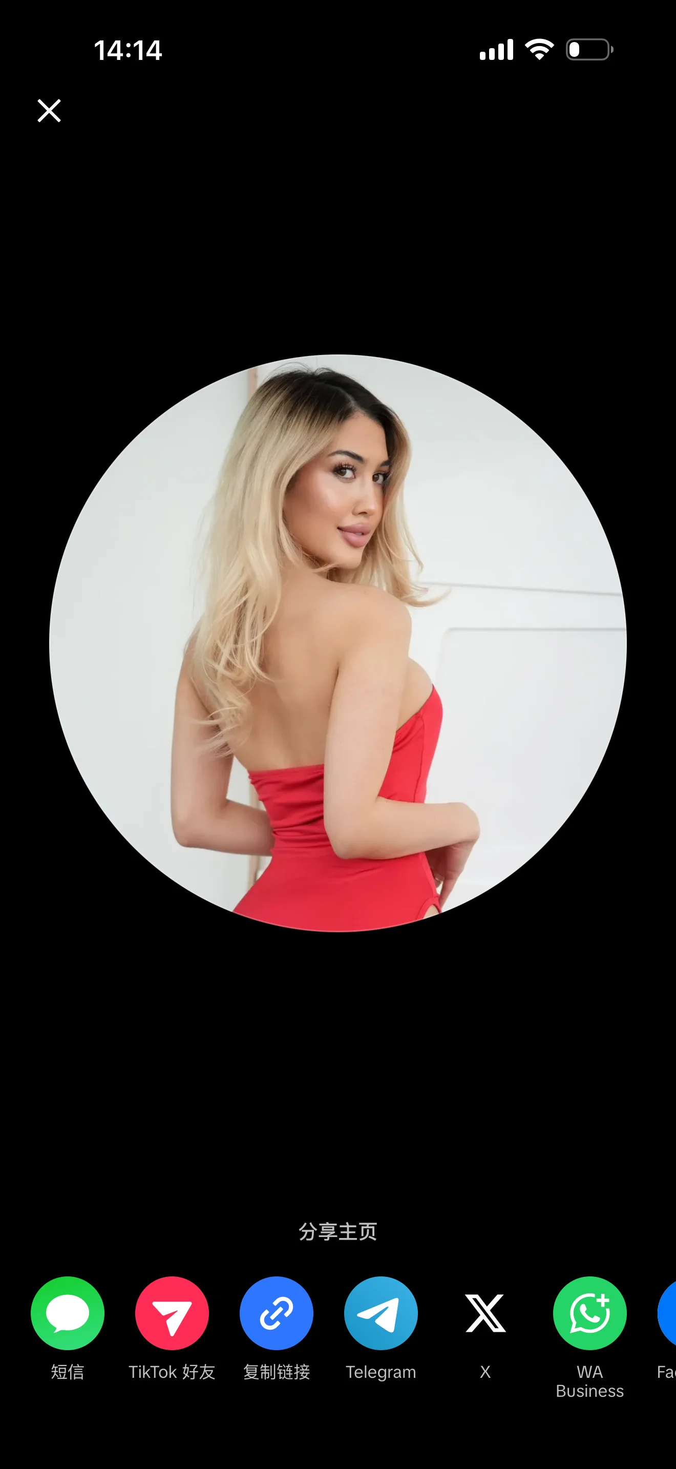 AaBbra28
