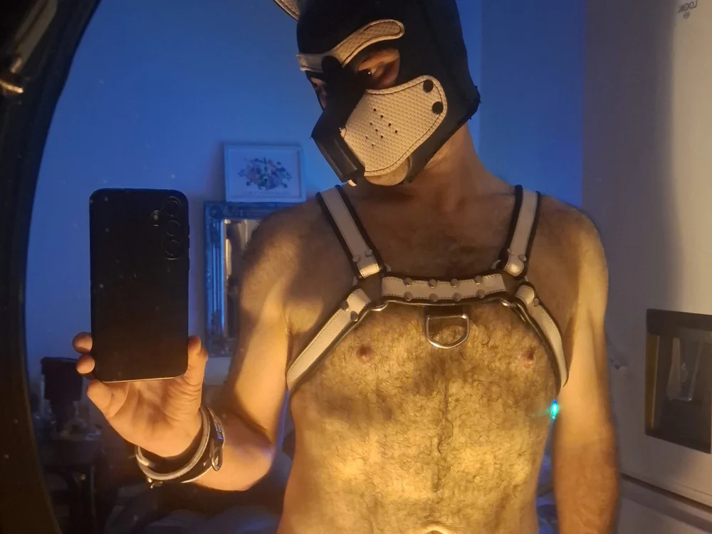 Czat XXX offline – Nick_Pup_Amp