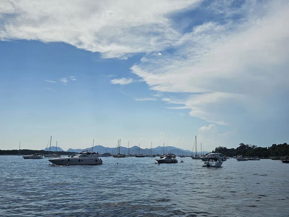 Amateur_PetitZgeg's most recent online preview
