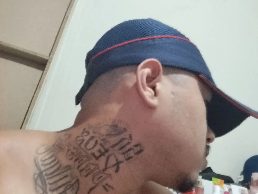 Vlpirocagrossa offline chatrum