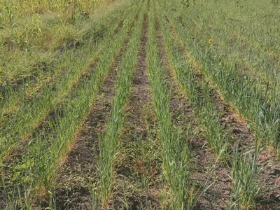 HeatableRevan profile