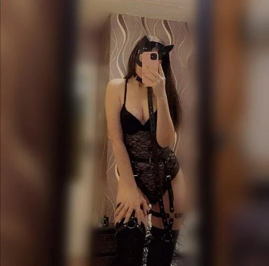 latexxshine offline chatrum