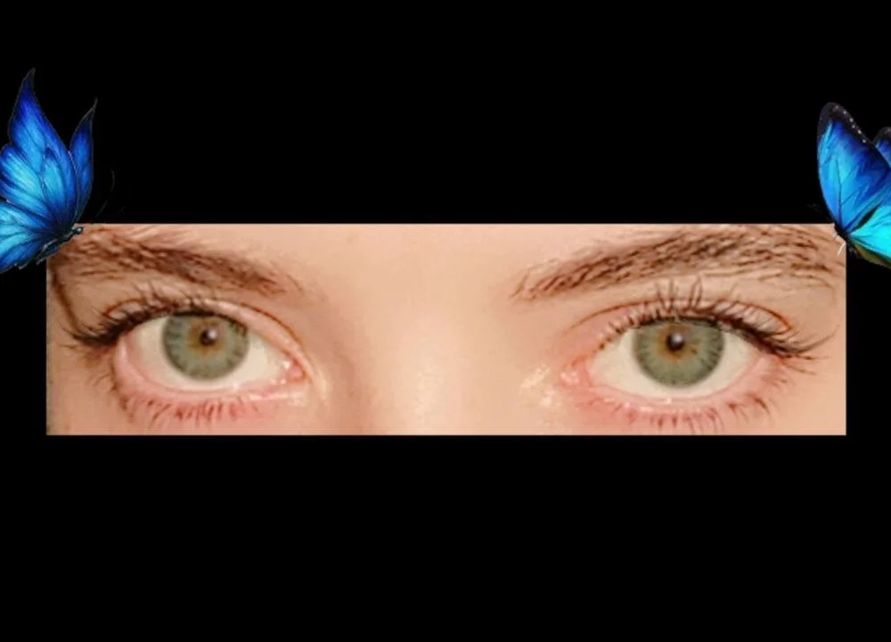 Babychloeshow cover photo