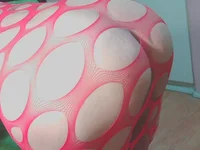 Модель annitsx