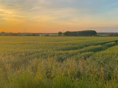 ptitcoquin9087 profile