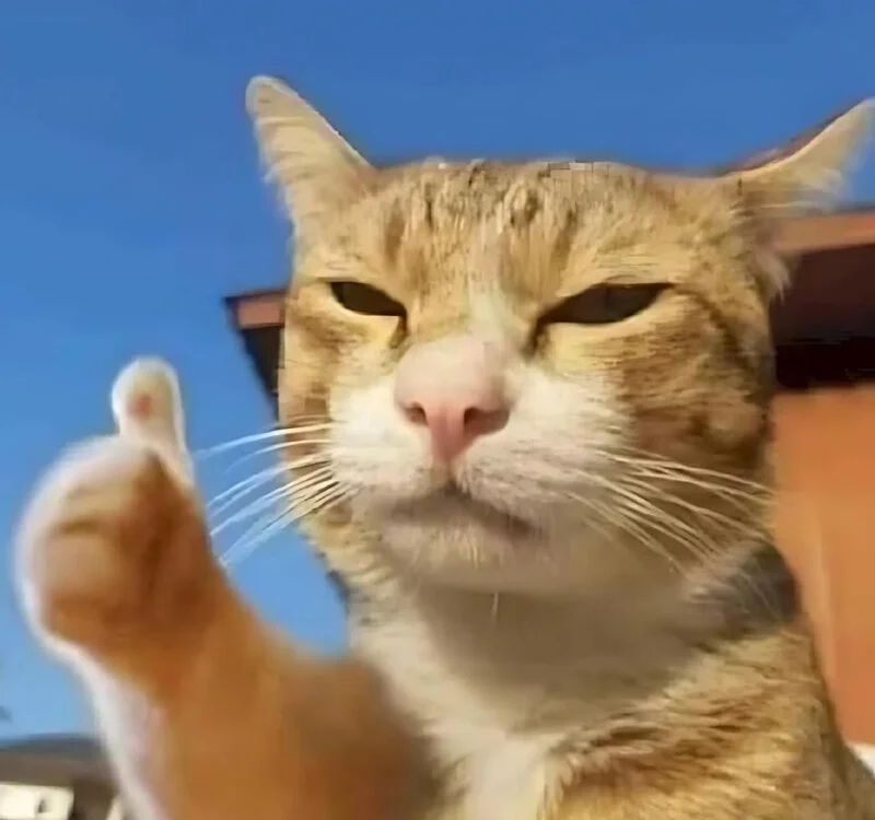 menvn15cm Obrolan XXX Offline