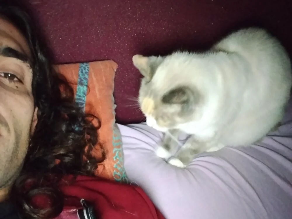 mavss922 – Offline XXX chat