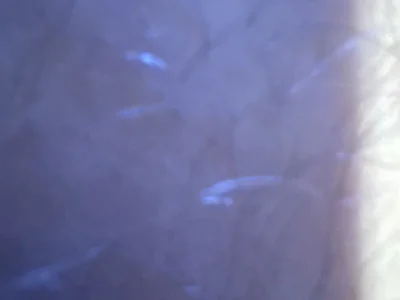 Youngcock649 - Boy 