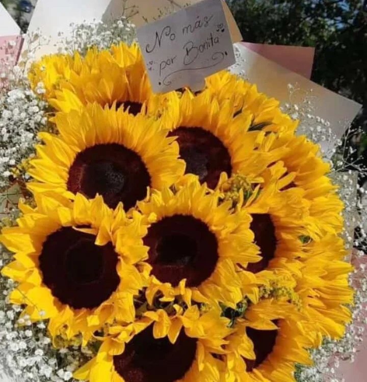 rosaditapussy Chat XXX offline