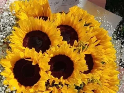 rosaditapussy profile